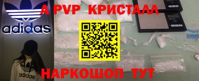 стафф Новокубанск