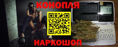 стафф Новокубанск
