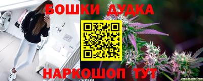 MDMA Новодвинск
