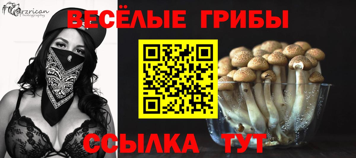 Псилоцибиновые грибы GOLDEN TEACHER Балашиха